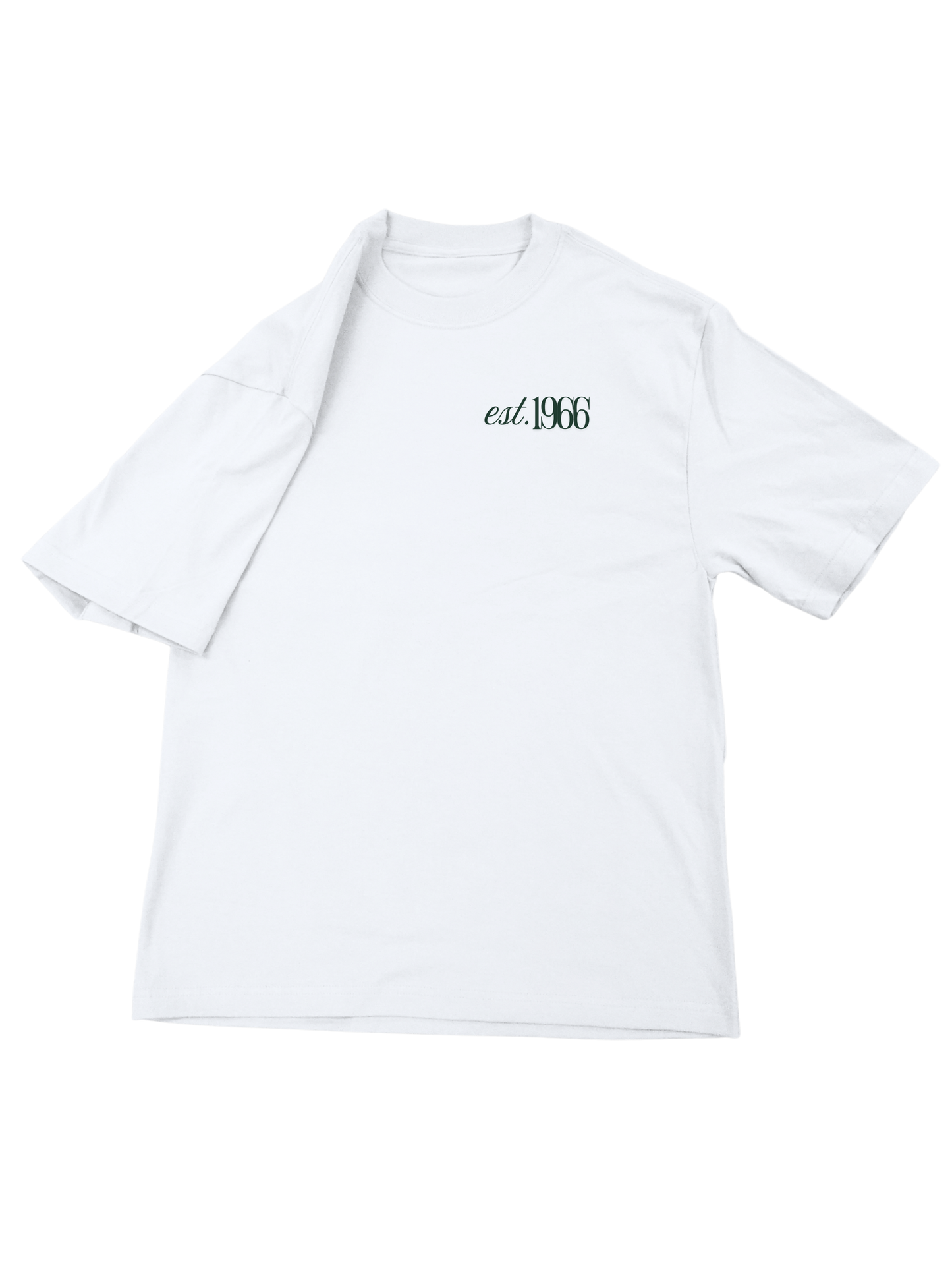 1966 Pictured Rocks Oversized Tee